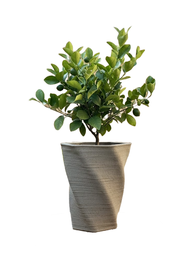 Binafy 3D Printed Concrete Planter